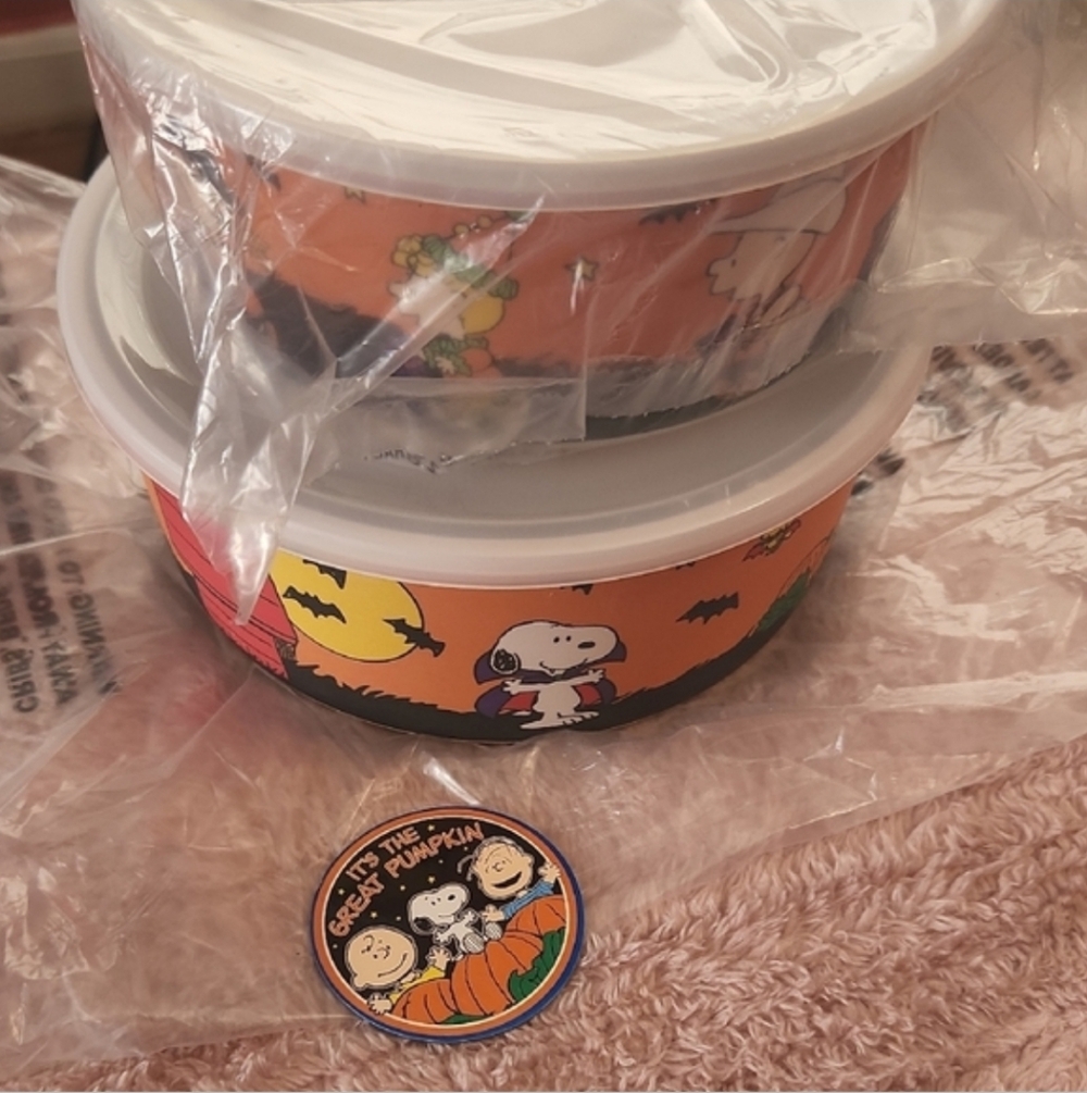 New Peanuts Halloween Nesting Set Snoopy Magnet - Picture 6 of 12